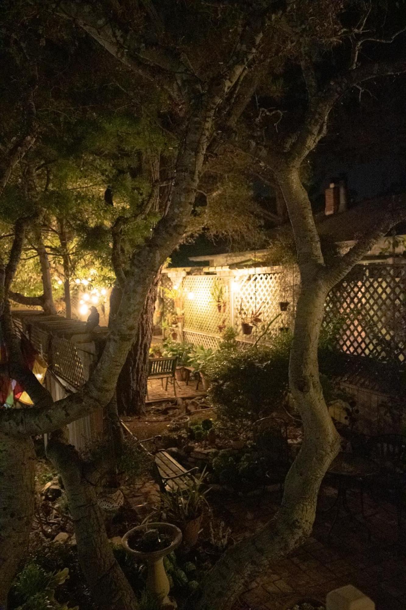 Carmel Garden Inn Екстер'єр фото